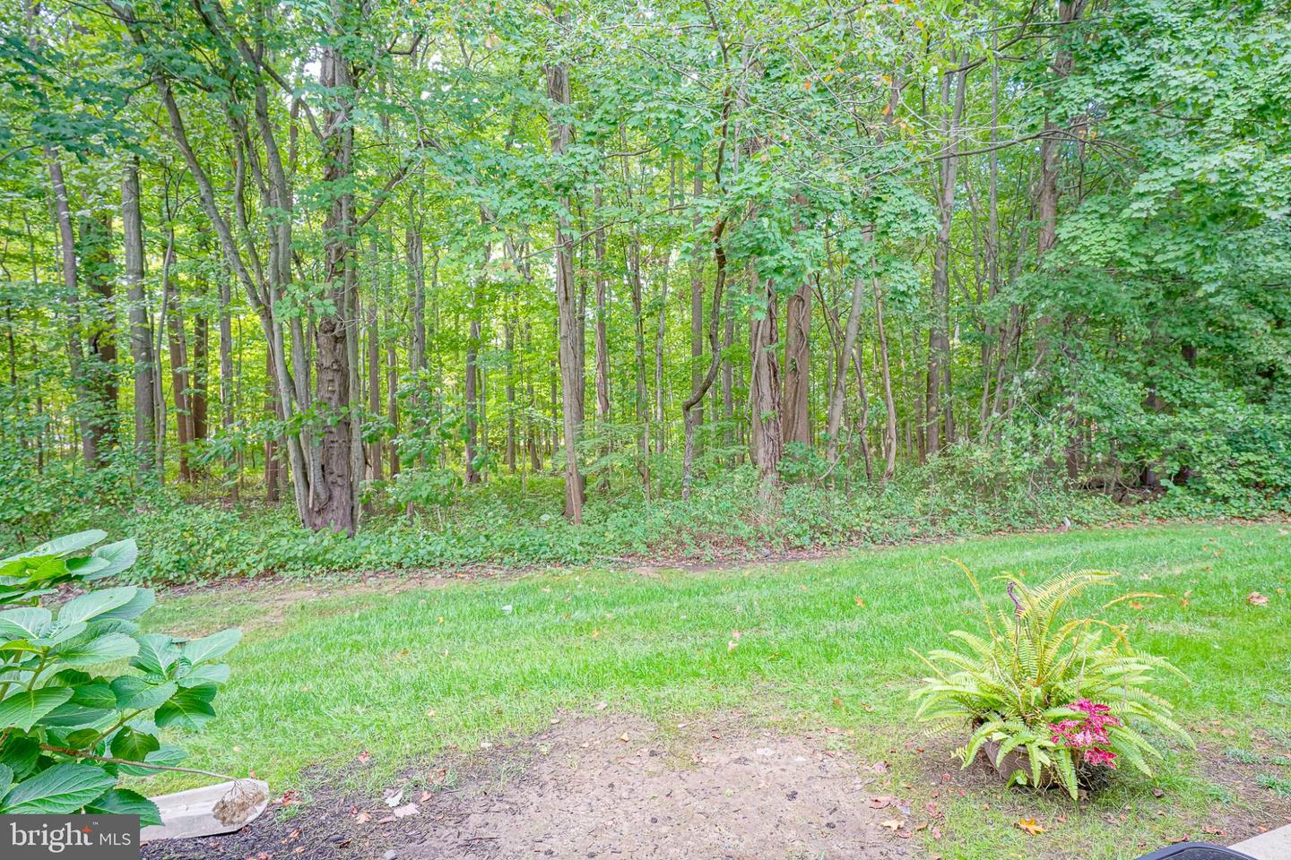 107 Whisper Ct Property Photo 25