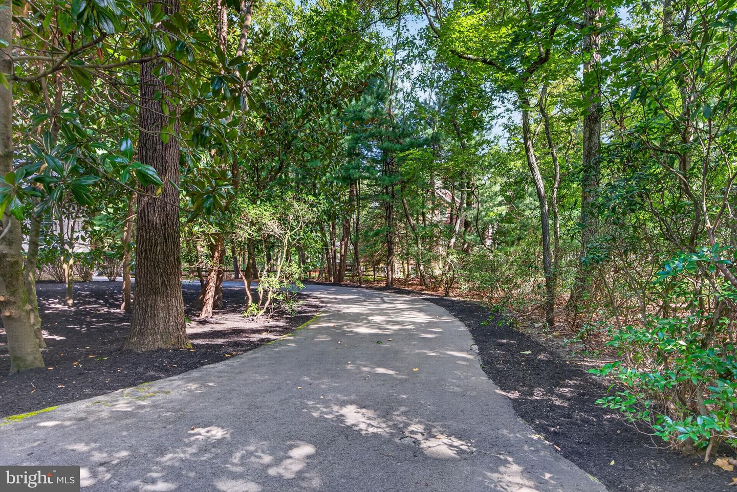 10 Slab Branch Ct Property Photo 5