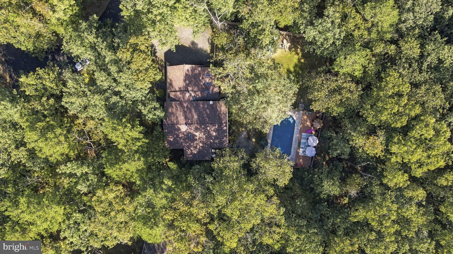207 Brandywine Ct Property Photo 45
