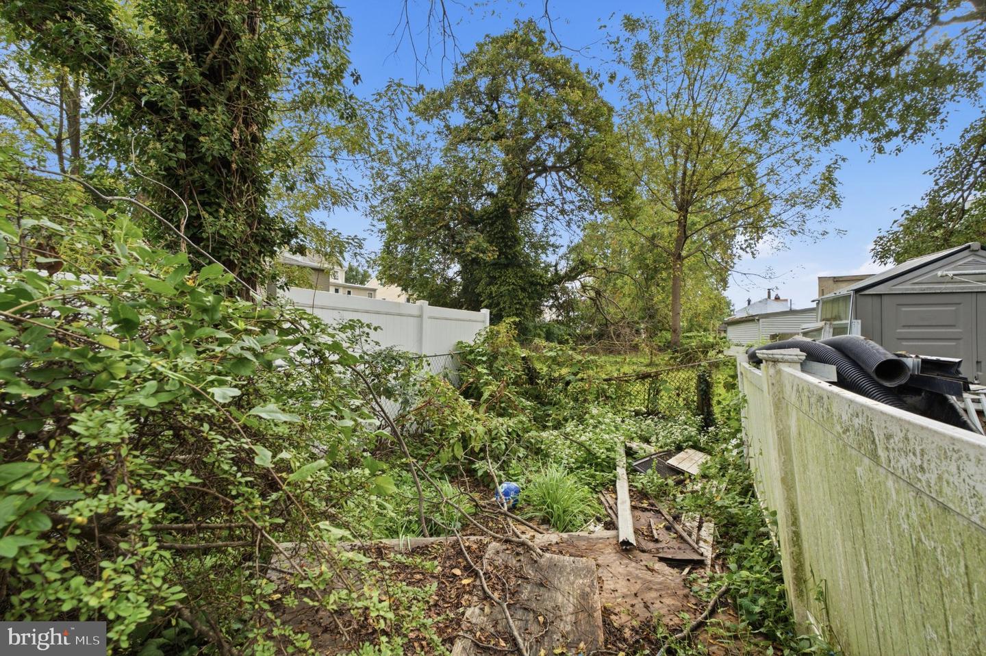 507 Lawrence St Property Photo 5
