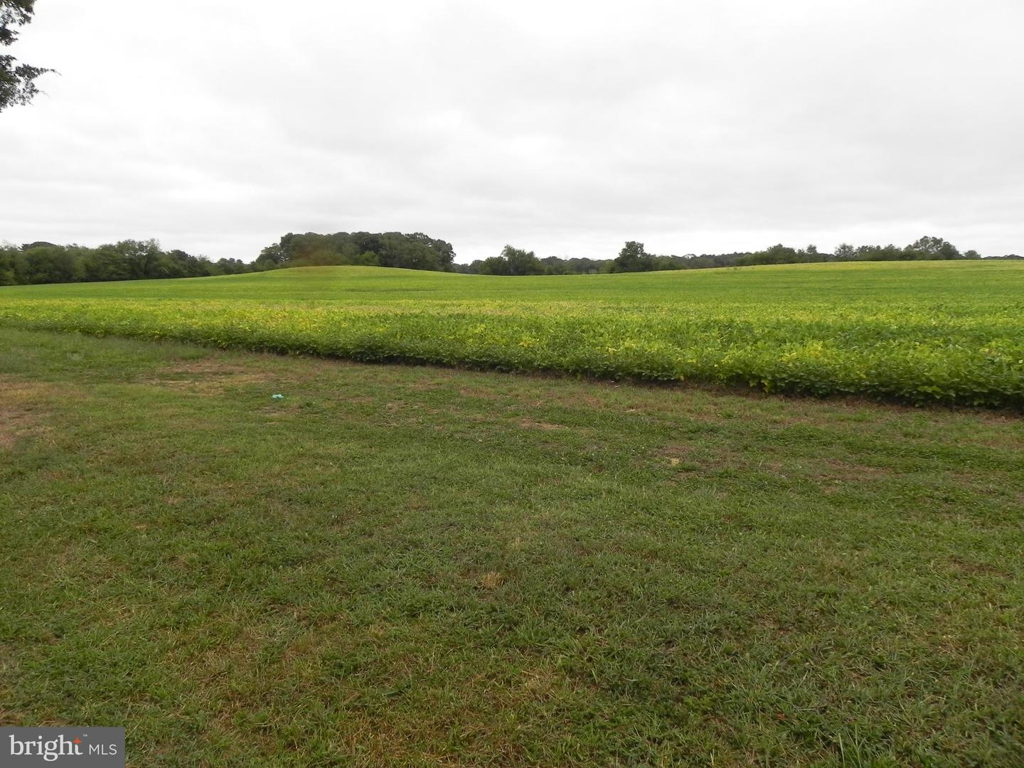 0 Sewall Property Photo 1