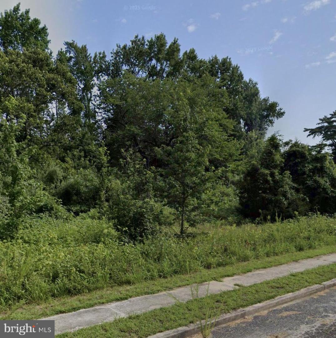 00 Spring Garden Property Photo 1