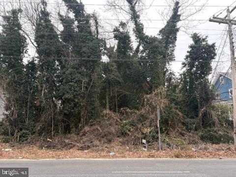 0 South Ave Property Photo 4