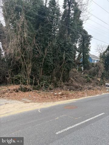 0 South Ave Property Photo 6