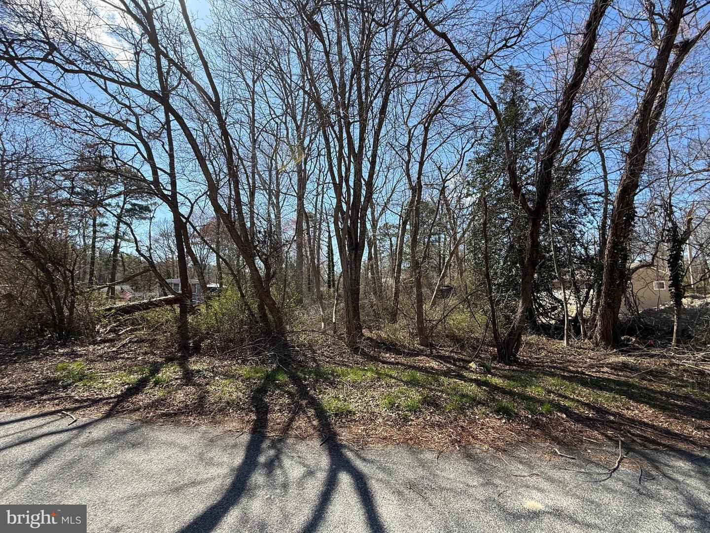 7364 William Ave Property Photo 1