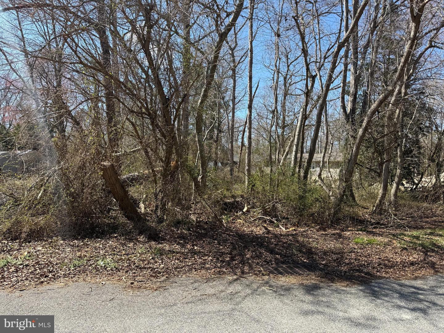 7364 William Ave Property Photo 2