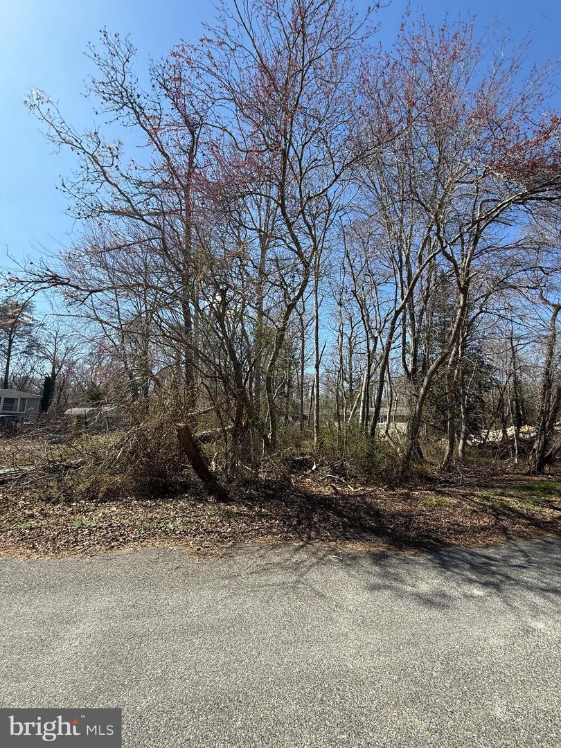 7364 William Ave Property Photo 3