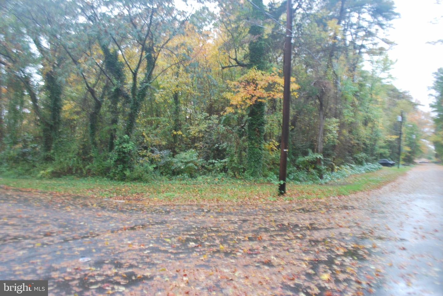 7900 Whittier Dr Property Photo 11