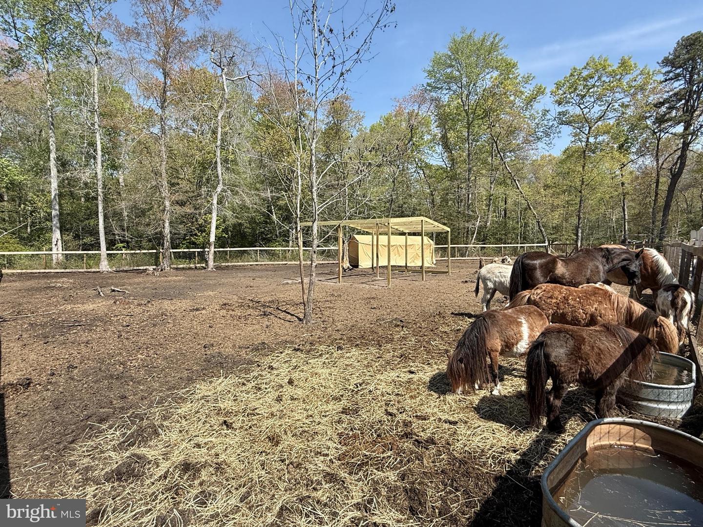 4196 Route Property Photo 11