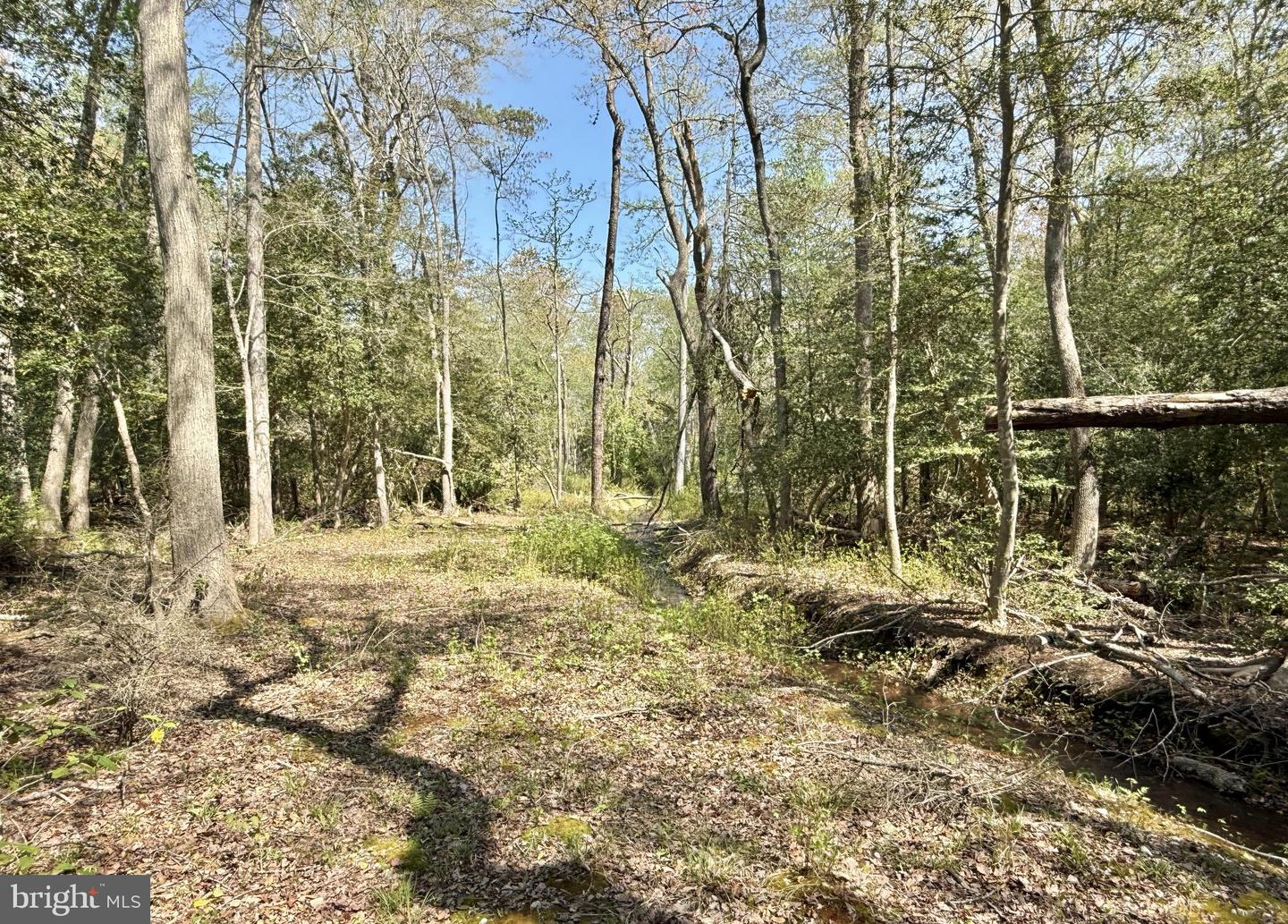 4196 Route Property Photo 12