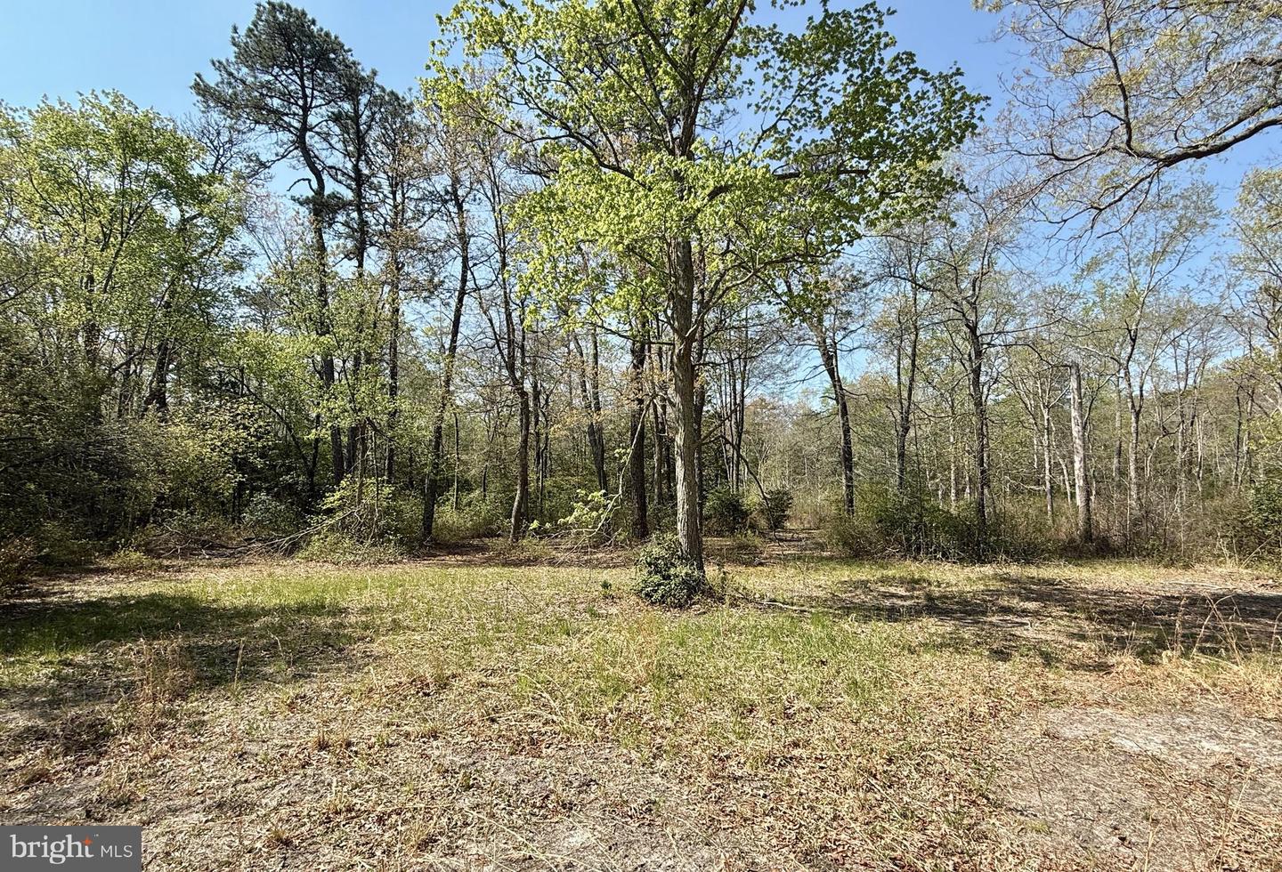 4196 Route Property Photo 14