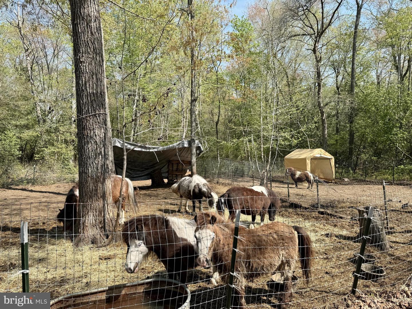 4196 Route Property Photo 15