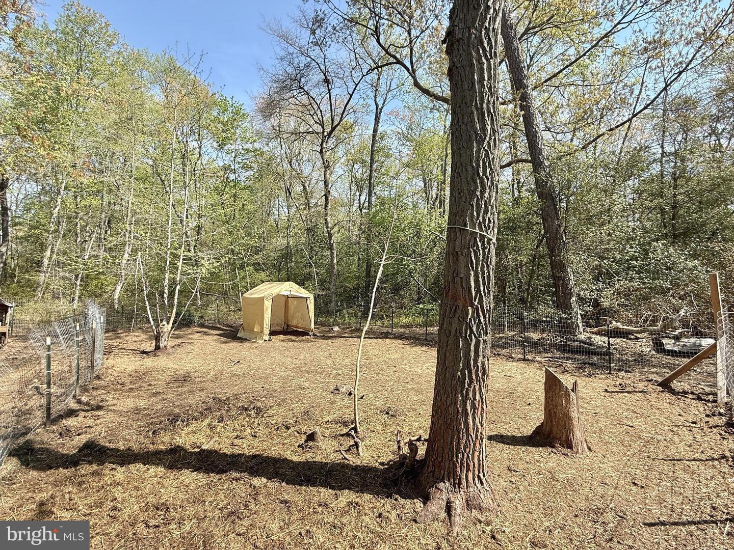4196 Route Property Photo 16