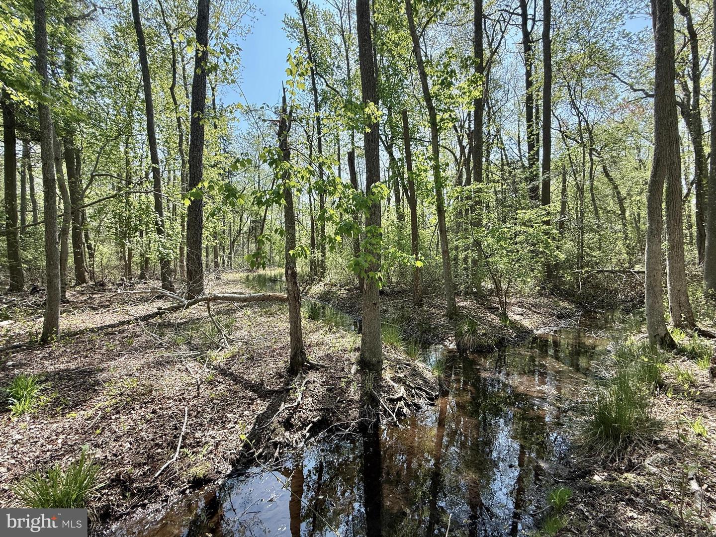4196 Route Property Photo 18