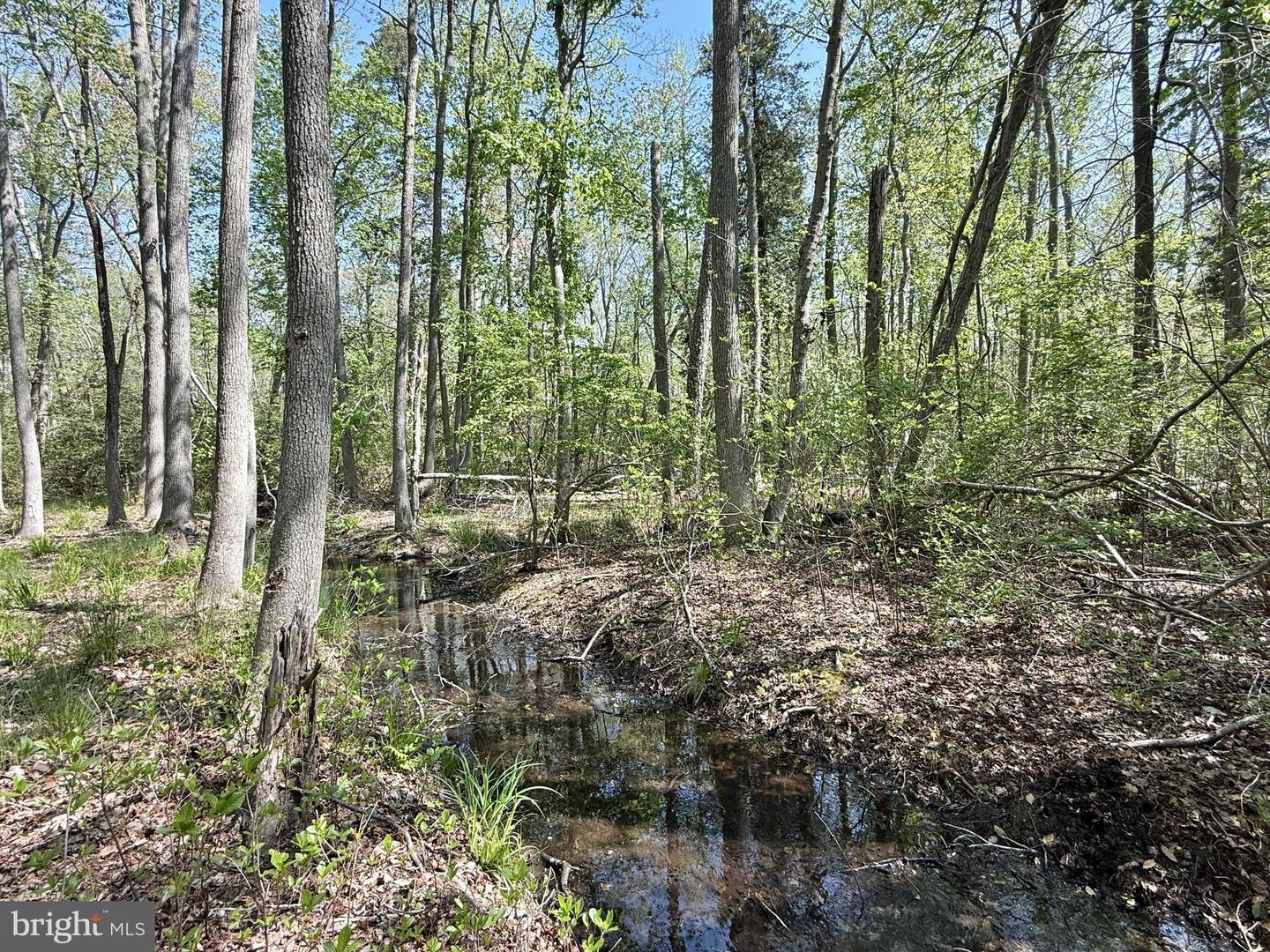 4196 Route Property Photo 19