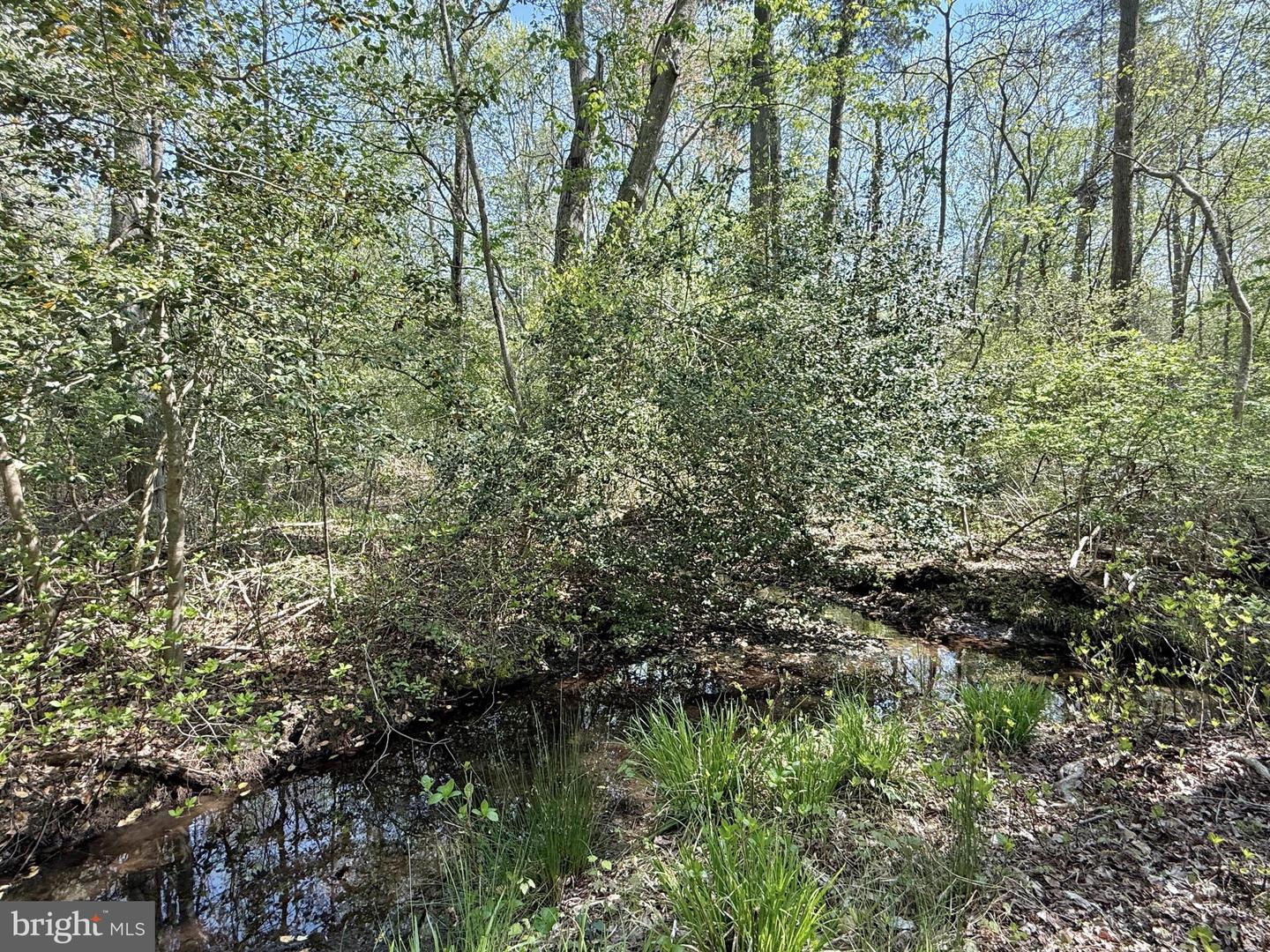 4196 Route Property Photo 20