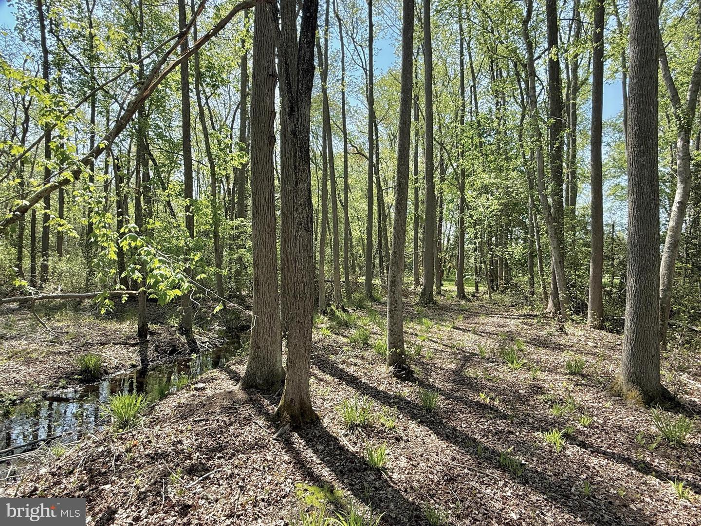 4196 Route Property Photo 21