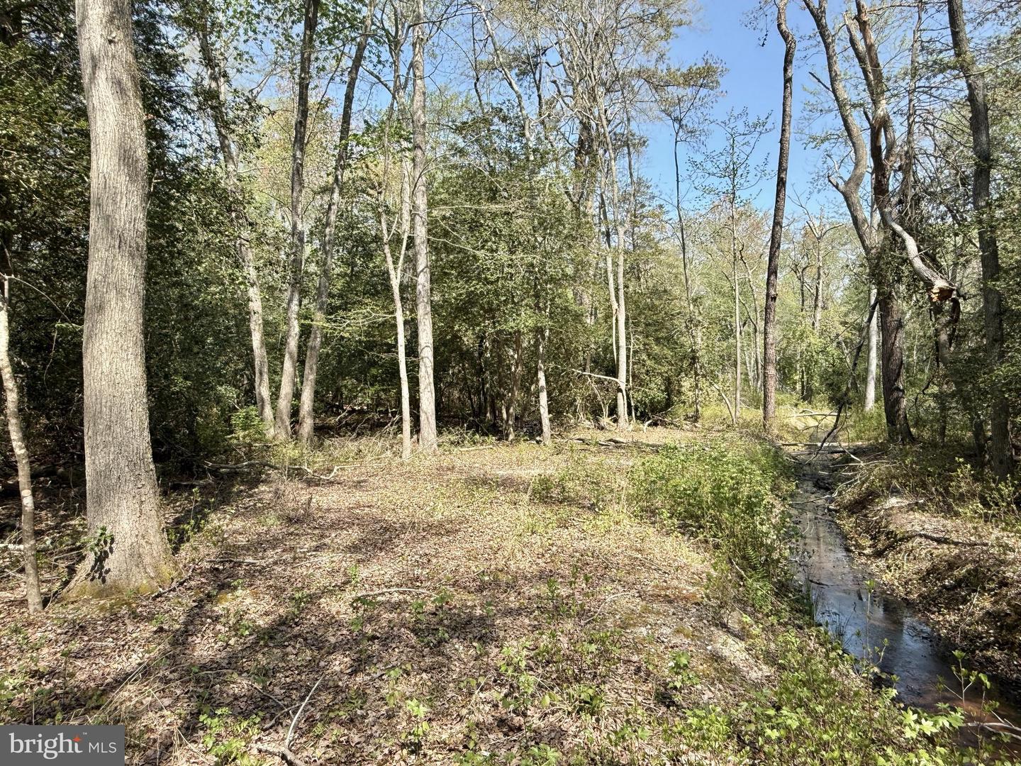 4196 Route Property Photo 22