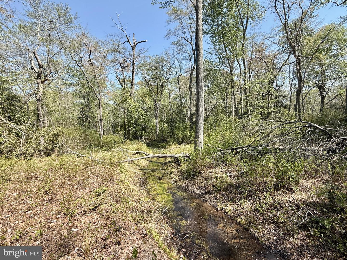 4196 Route Property Photo 23