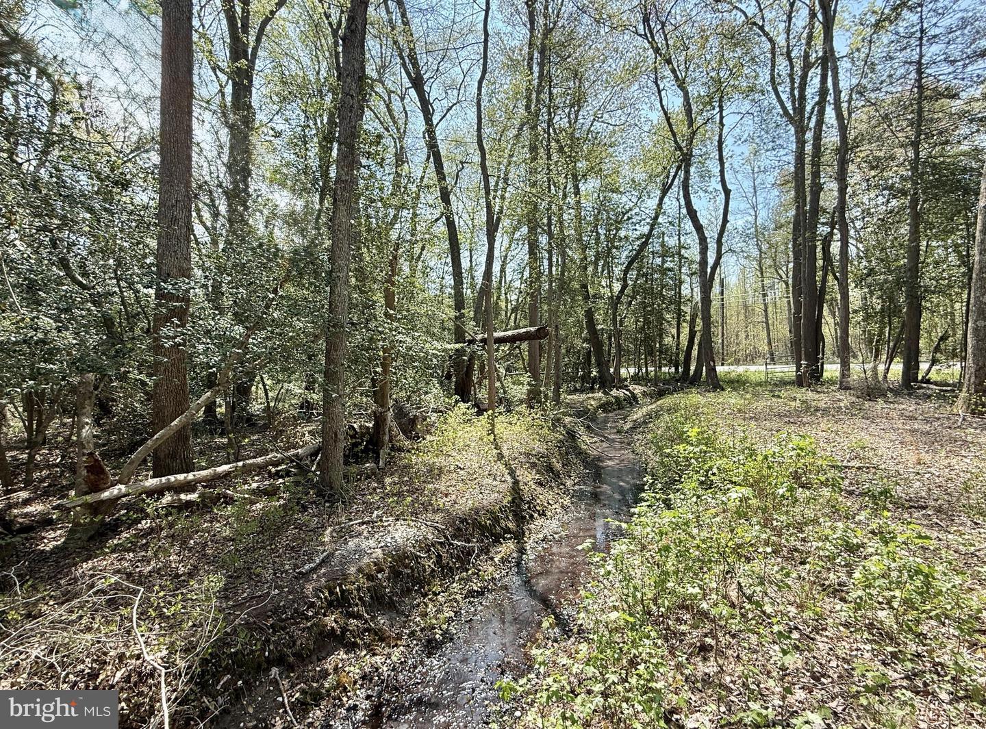4196 Route Property Photo 24
