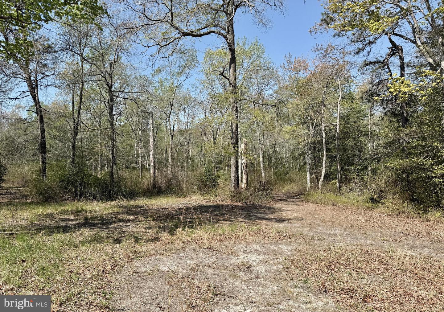 4196 Route Property Photo 25