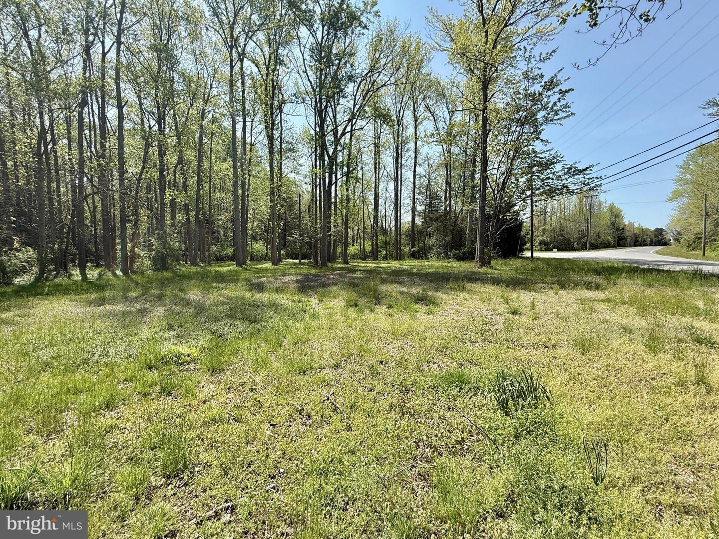 4196 Route Property Photo 28