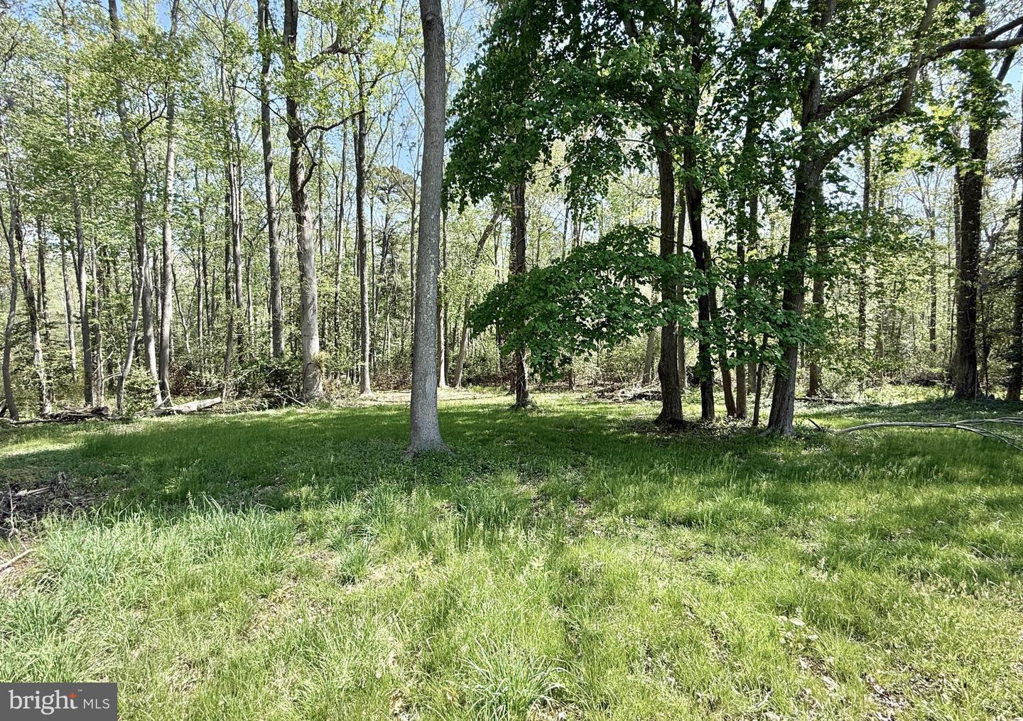 4196 Route Property Photo 29