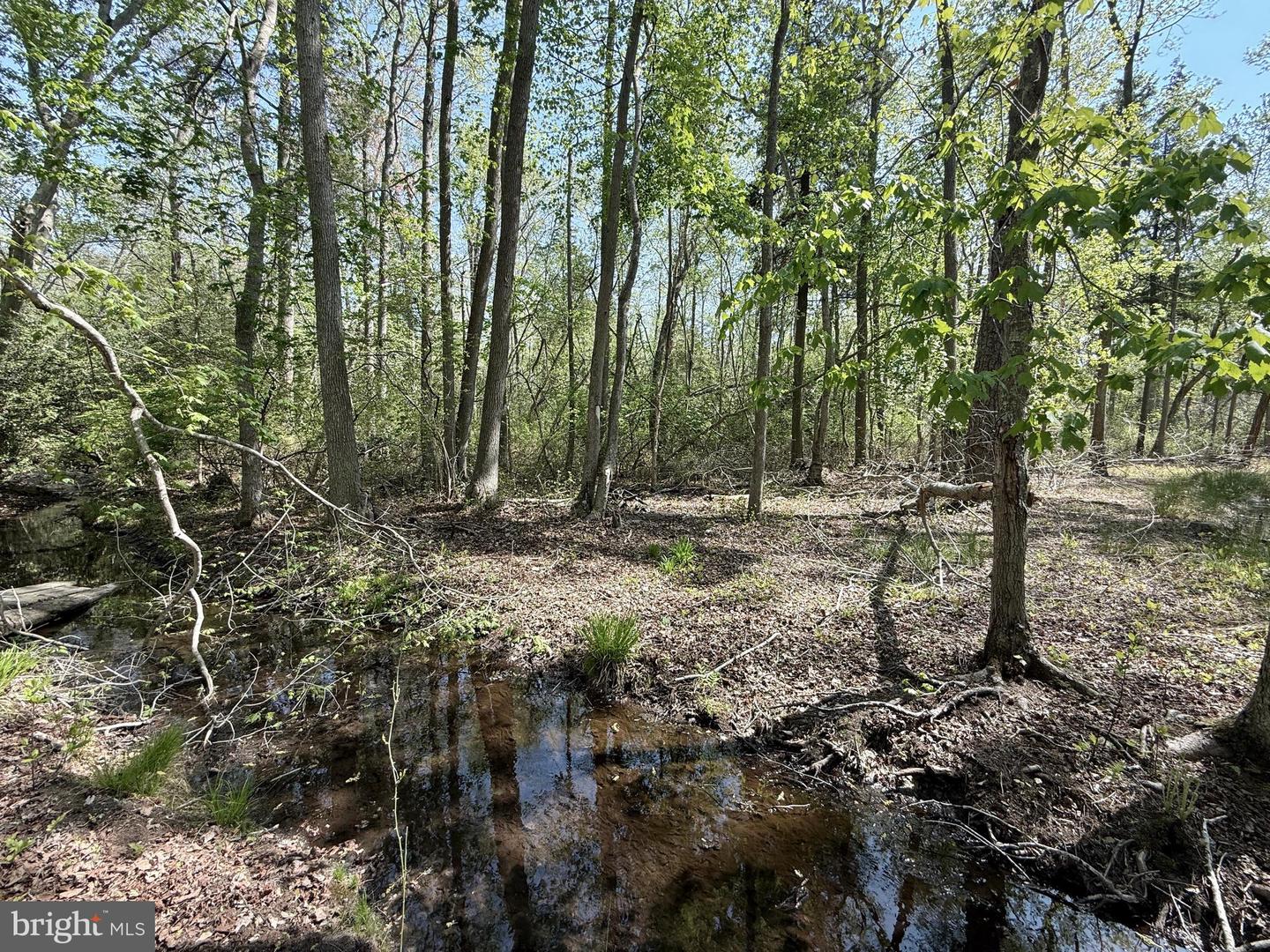4196 Route Property Photo 30
