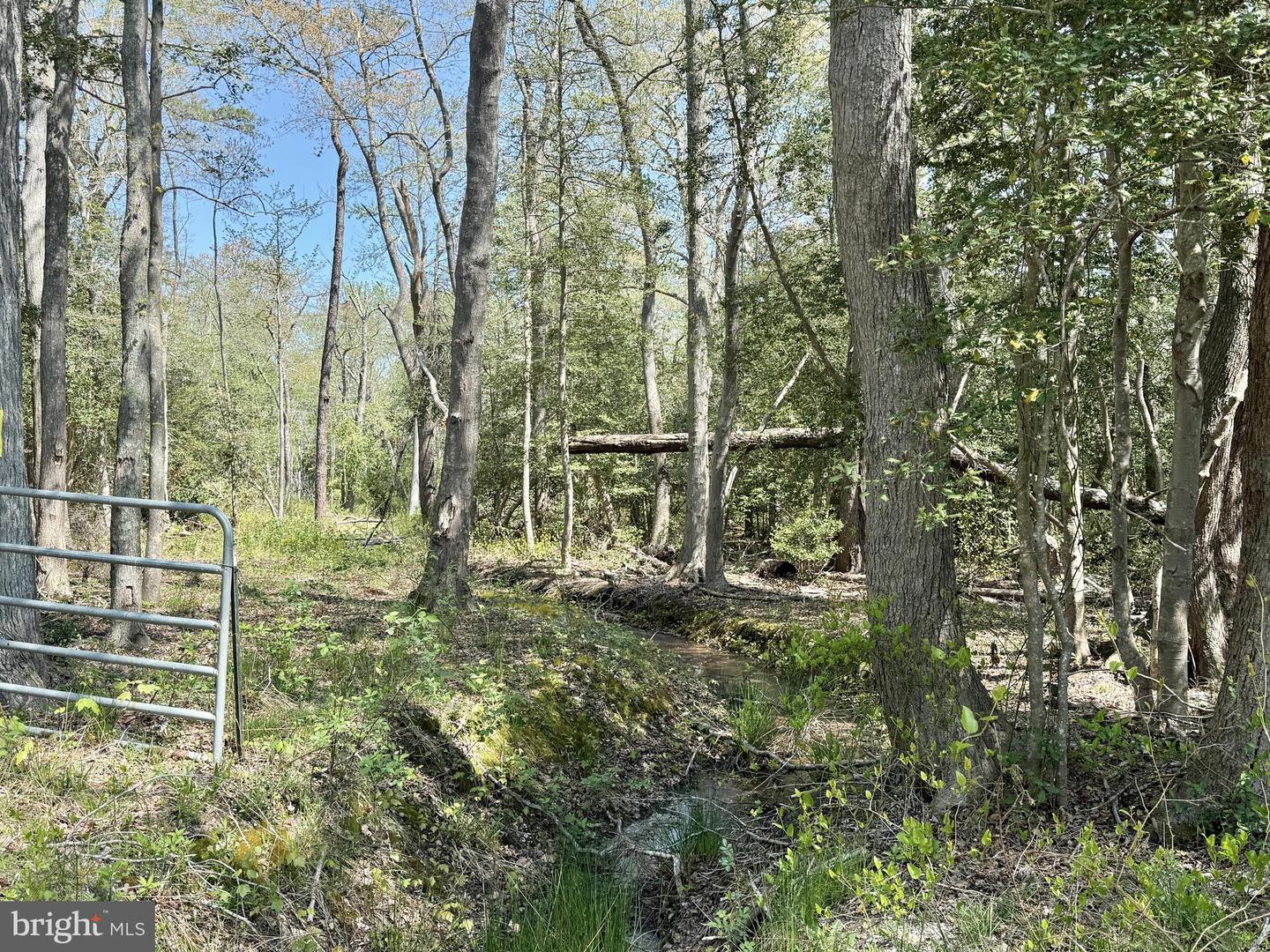 4196 Route Property Photo 31