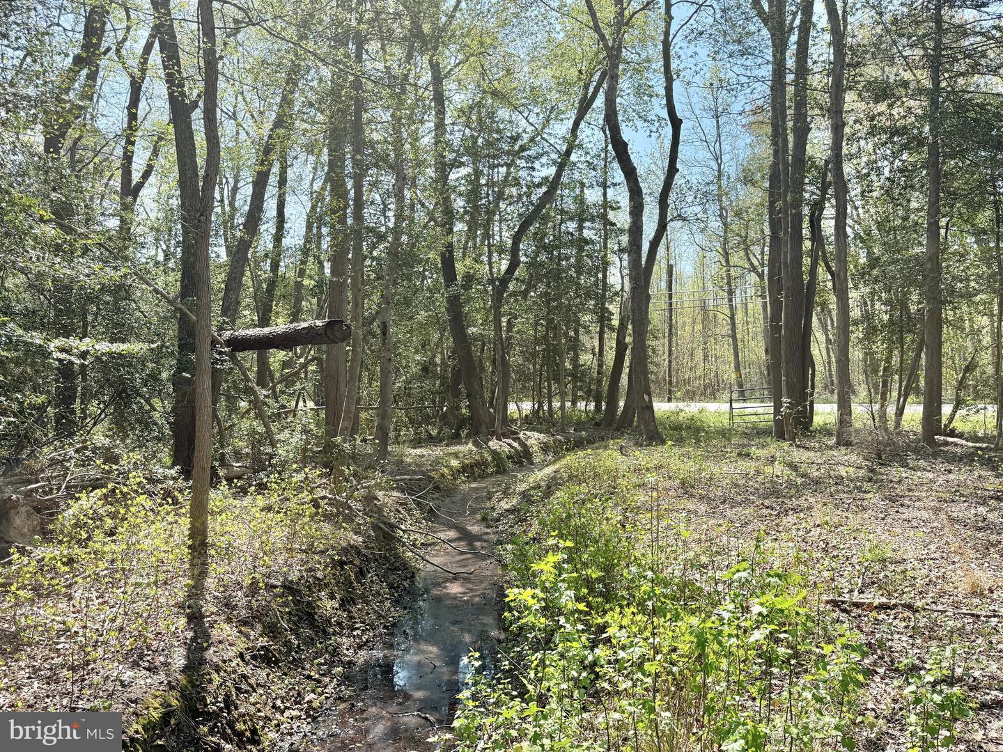 4196 Route Property Photo 32