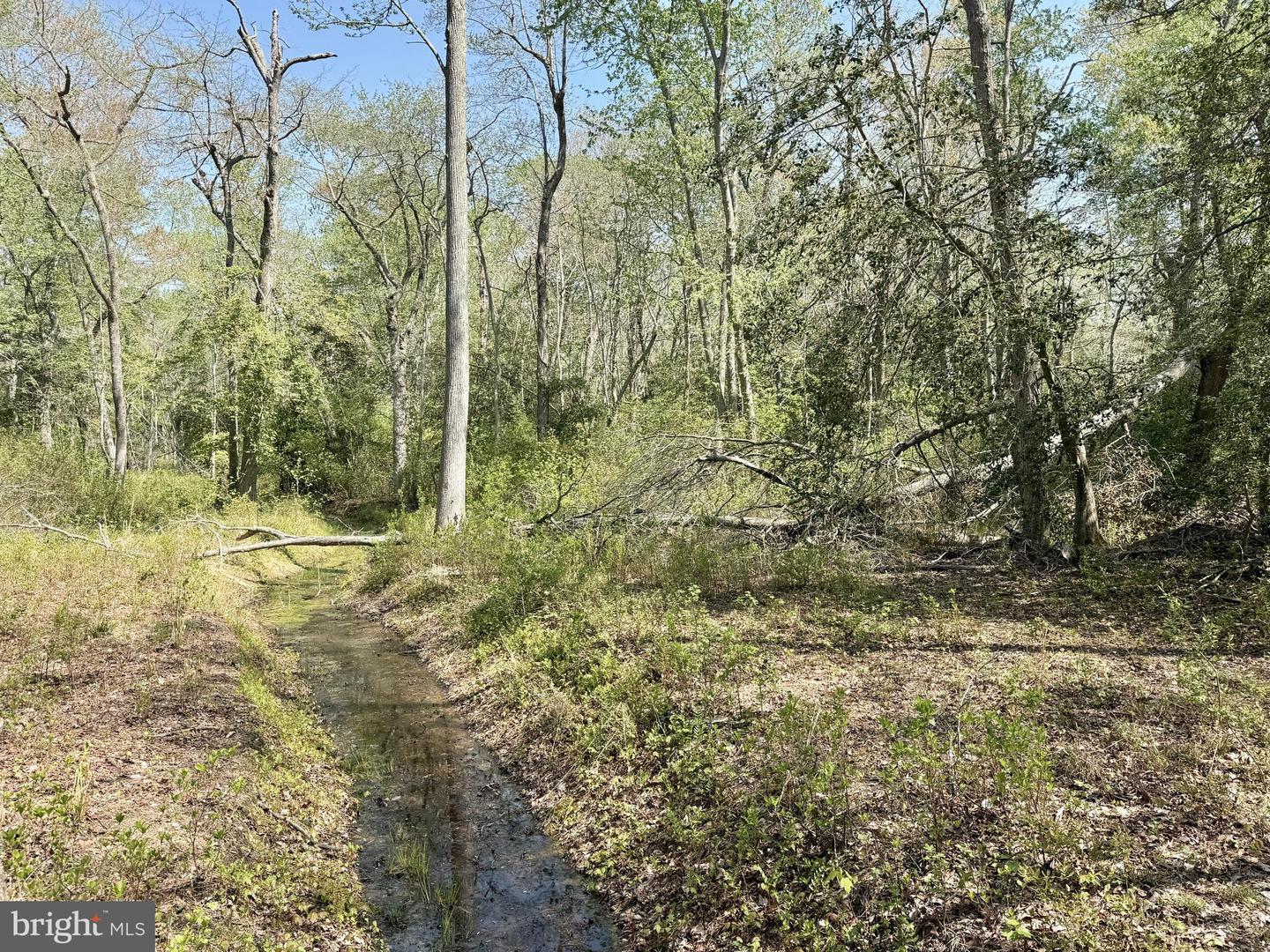 4196 Route Property Photo 33