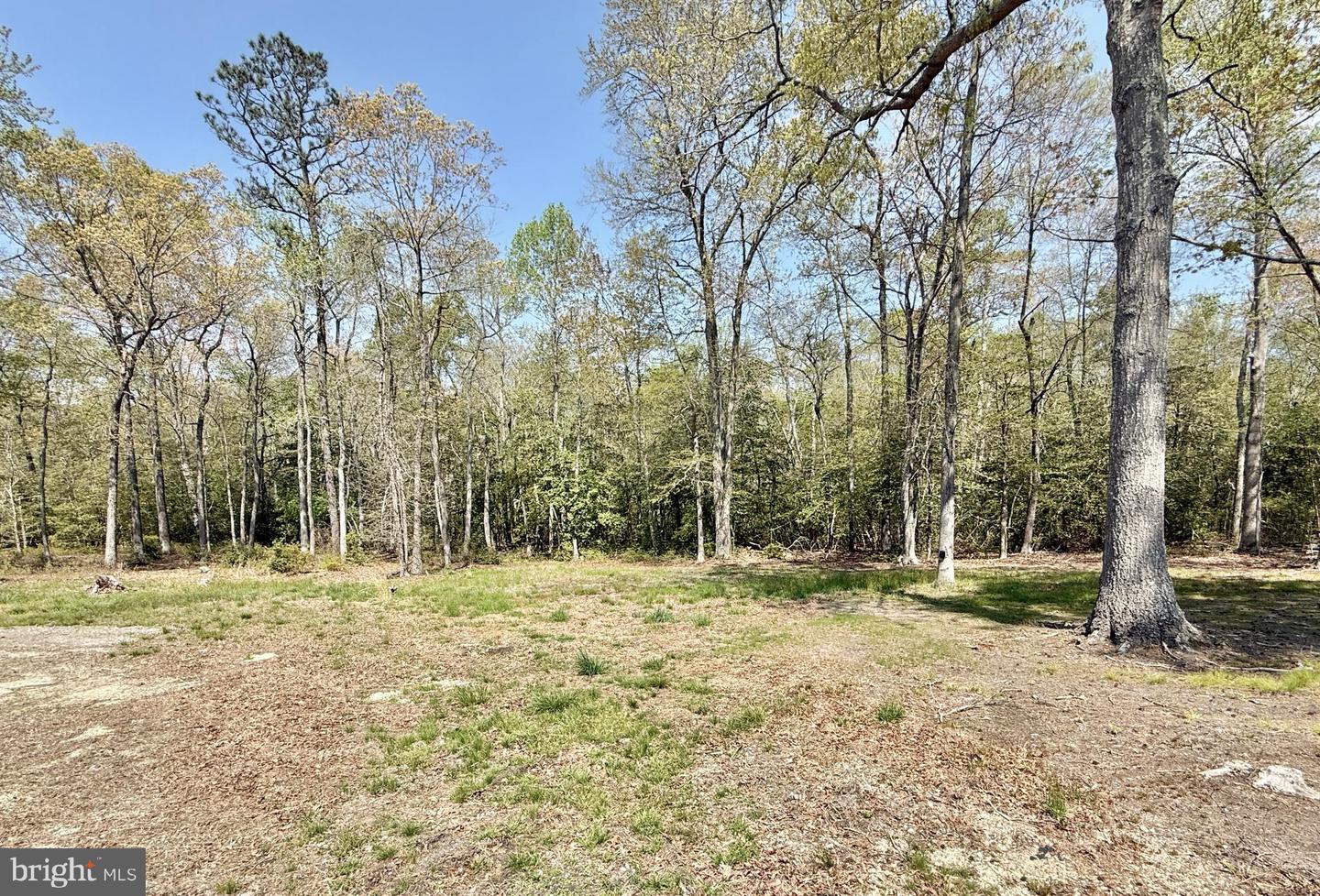 4196 Route Property Photo 34