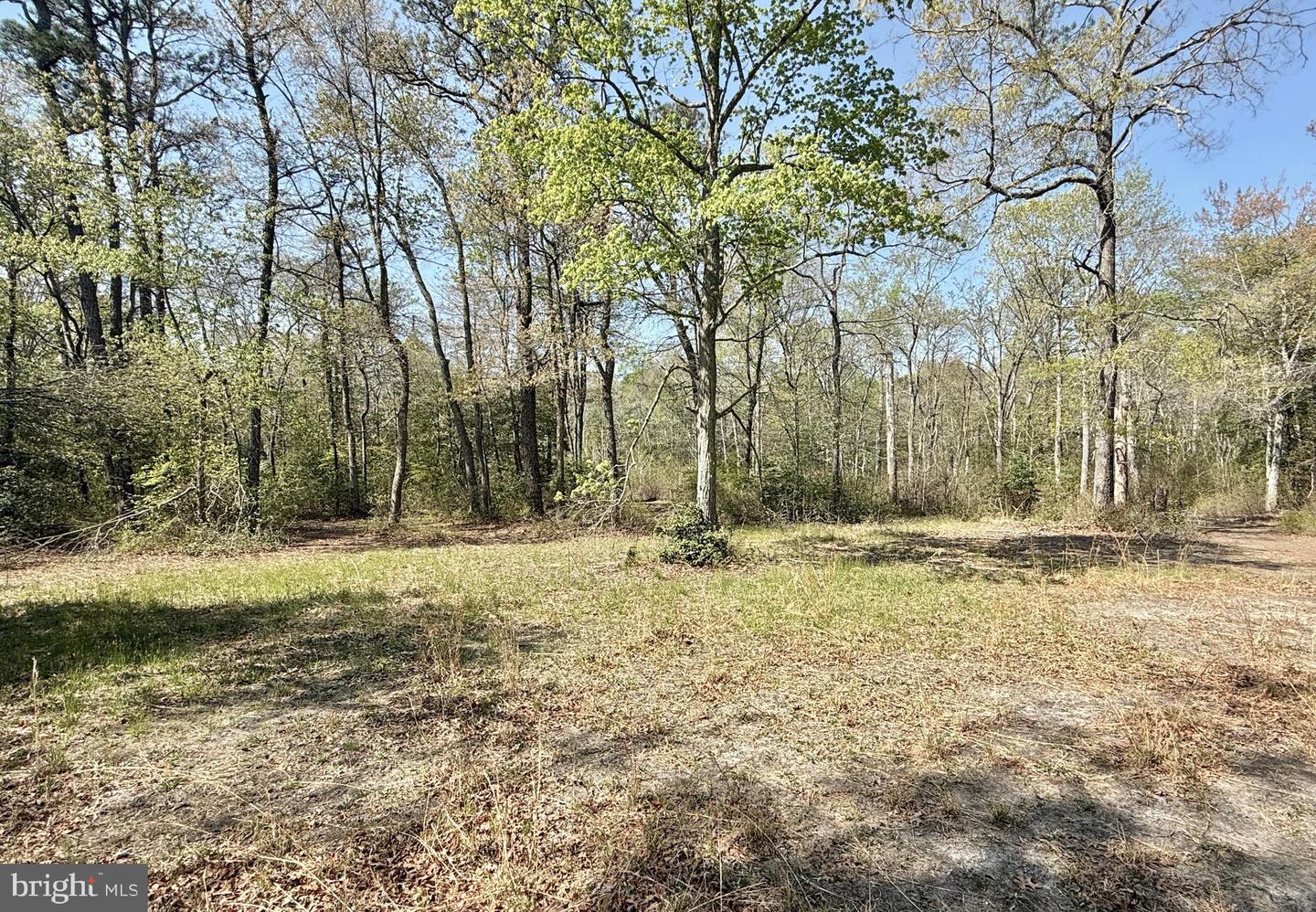 4196 Route Property Photo 36