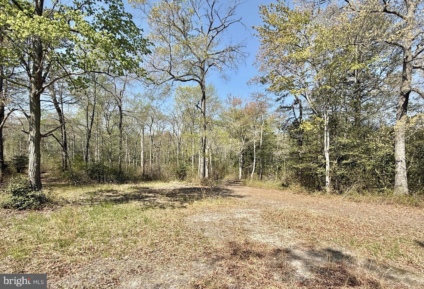 4196 Route Property Photo 37