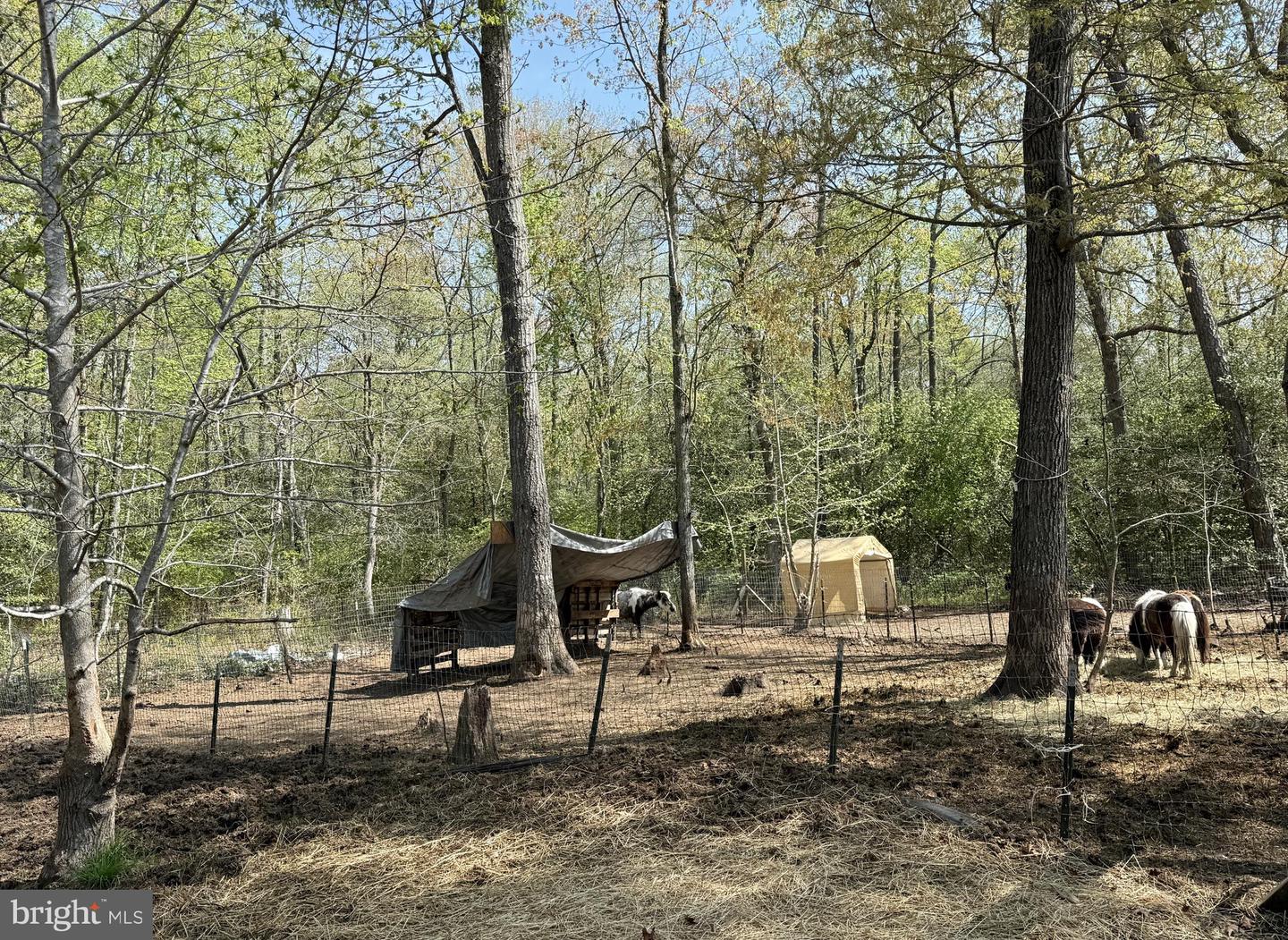 4196 Route Property Photo 40
