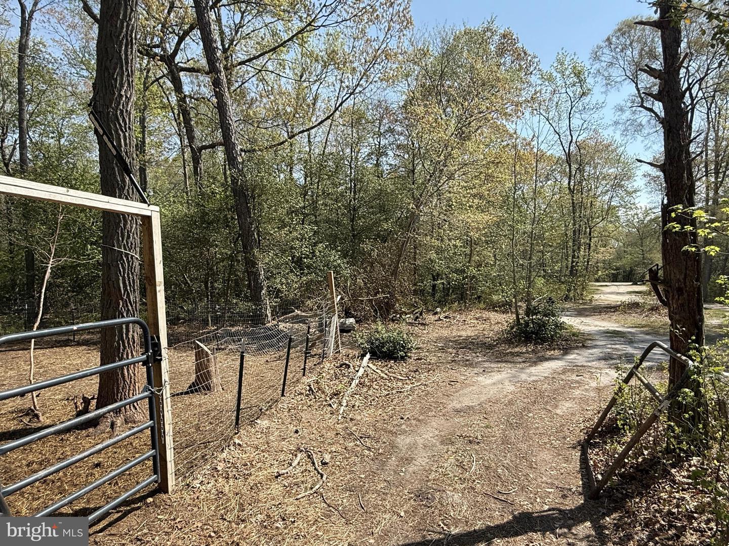 4196 Route Property Photo 41