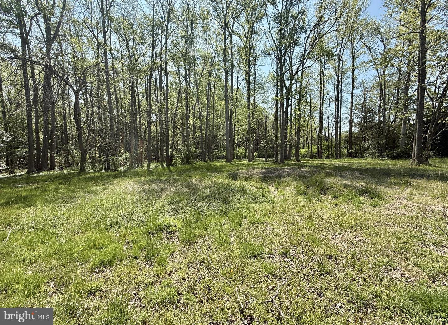 4196 Route Property Photo 42
