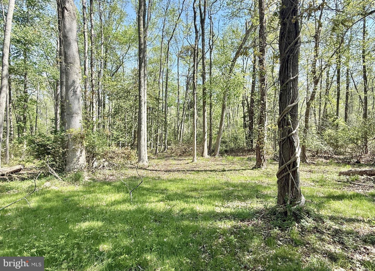 4196 Route Property Photo 43