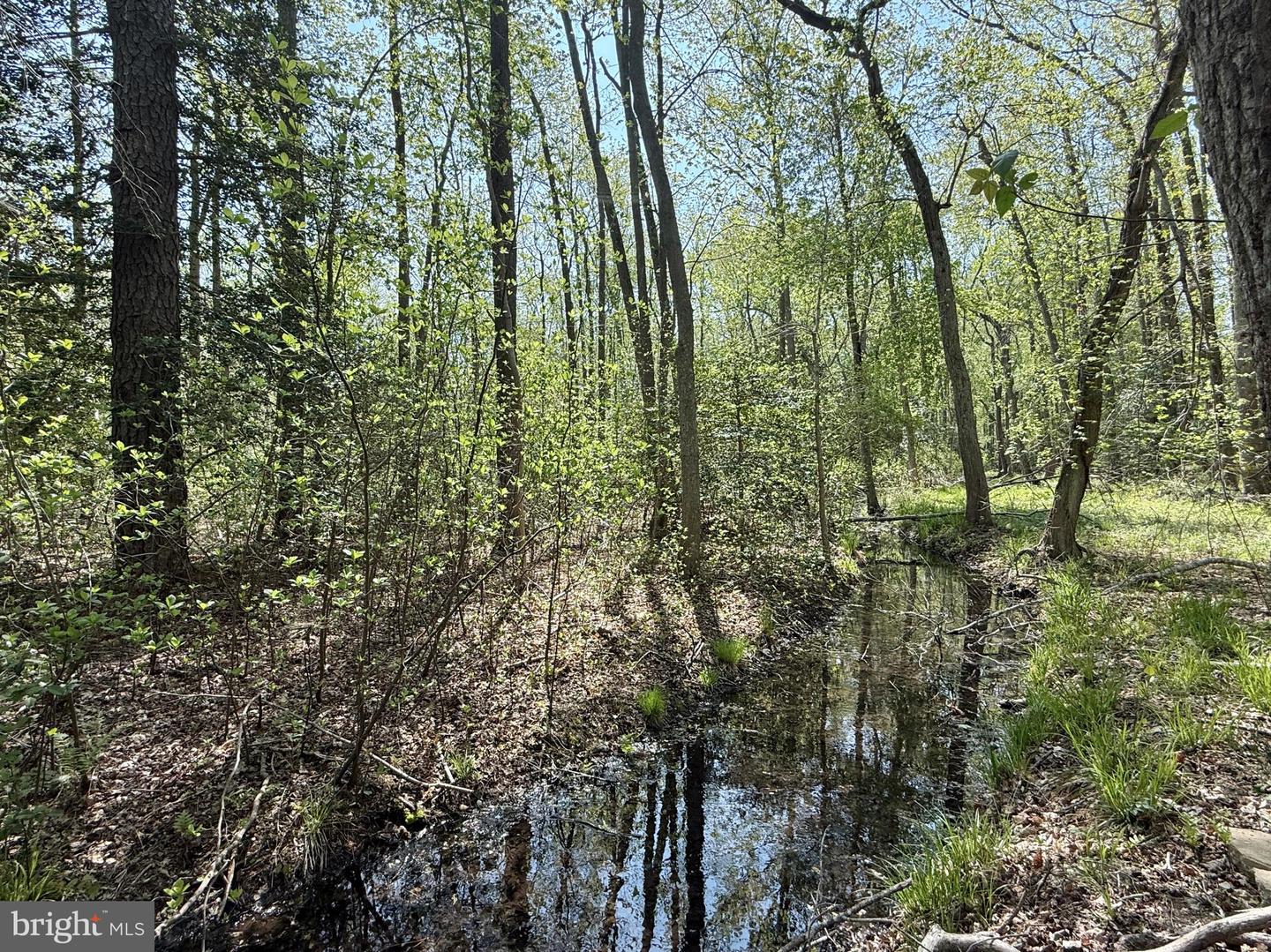 4196 Route Property Photo 44