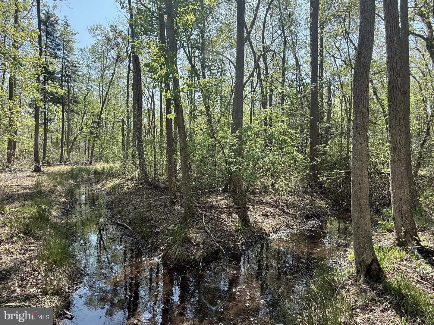 4196 Route Property Photo 45