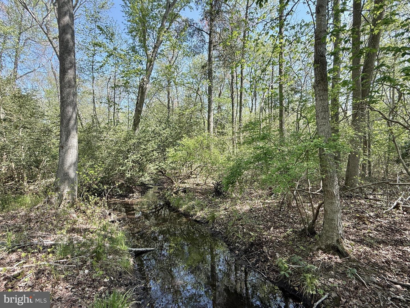 4196 Route Property Photo 46