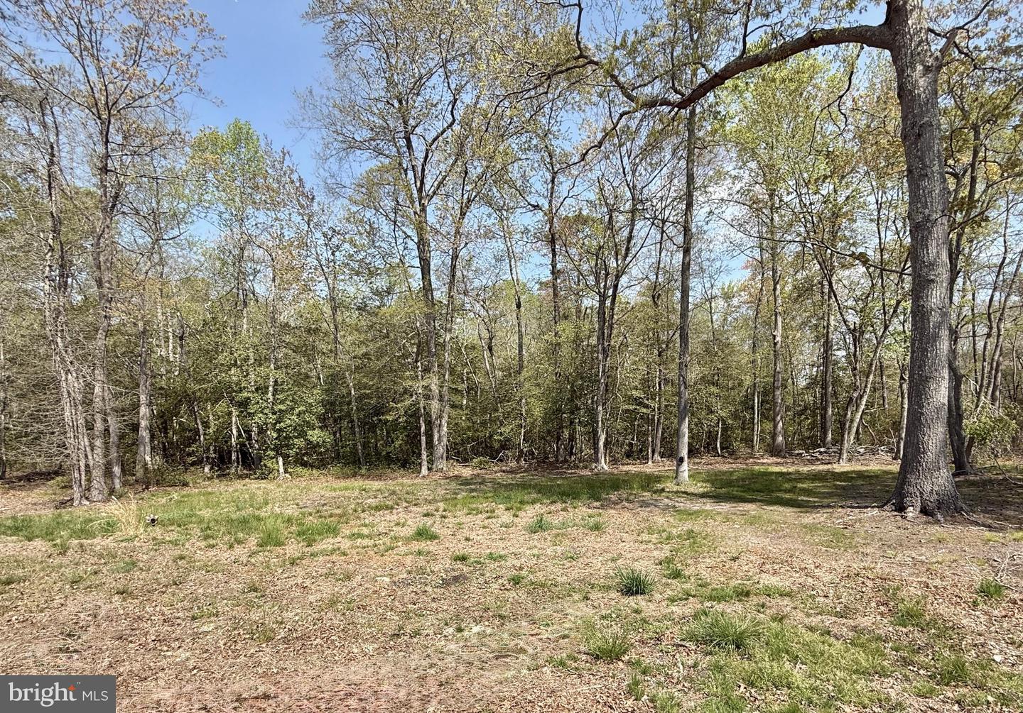 4196 Route Property Photo 48