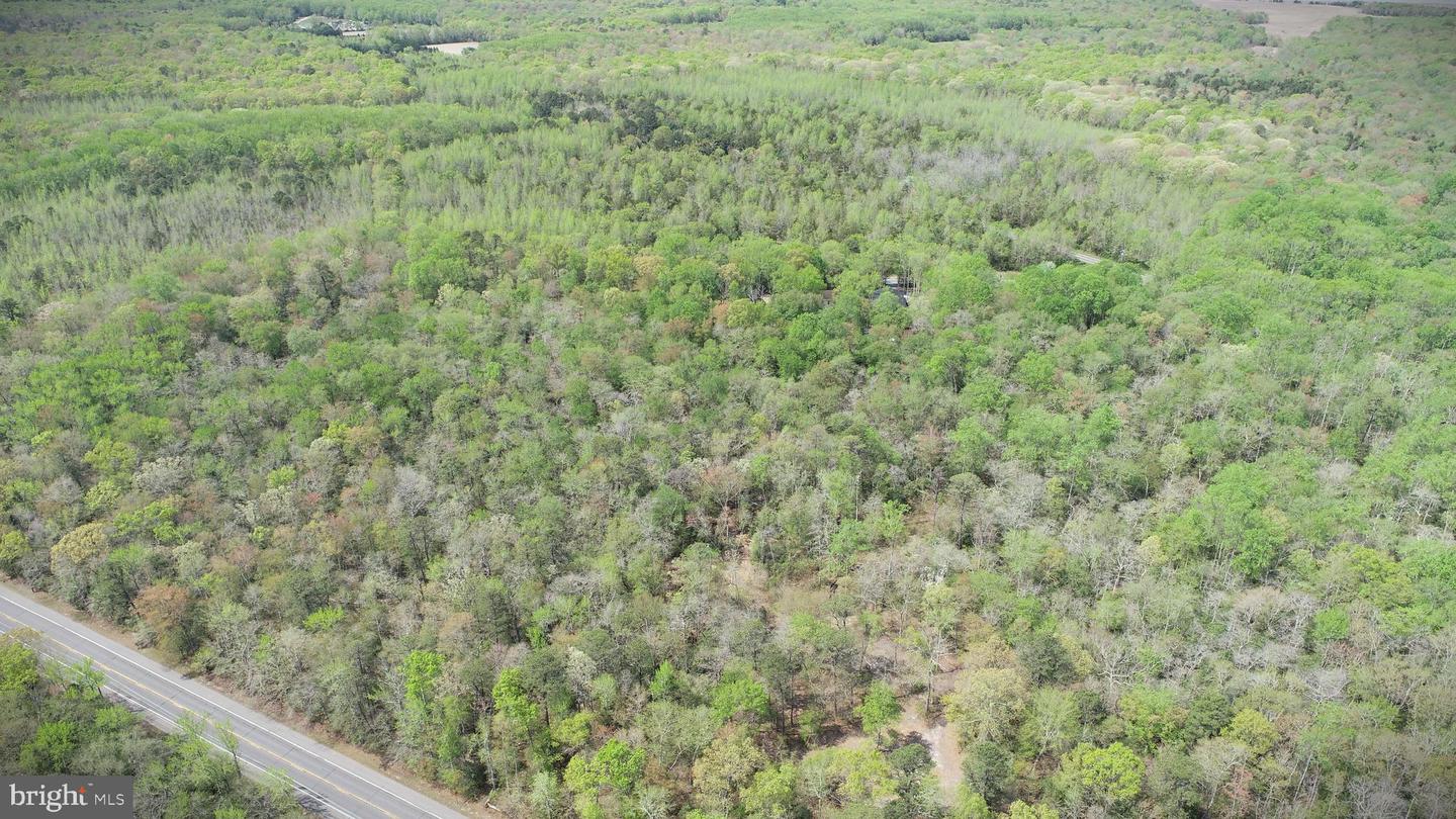 4196 Route Property Photo 51