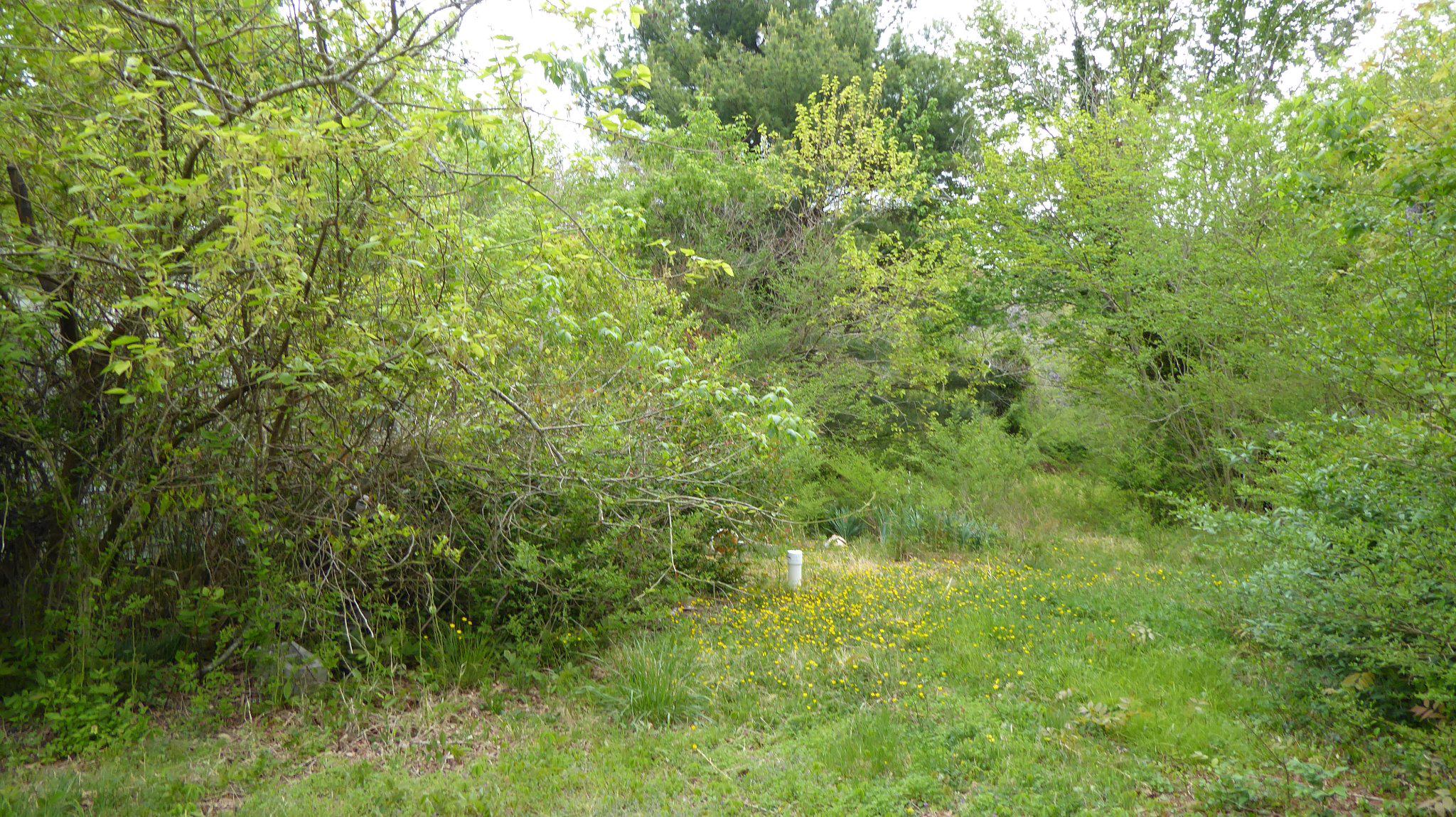 2421 Memorial Ave Property Photo 15