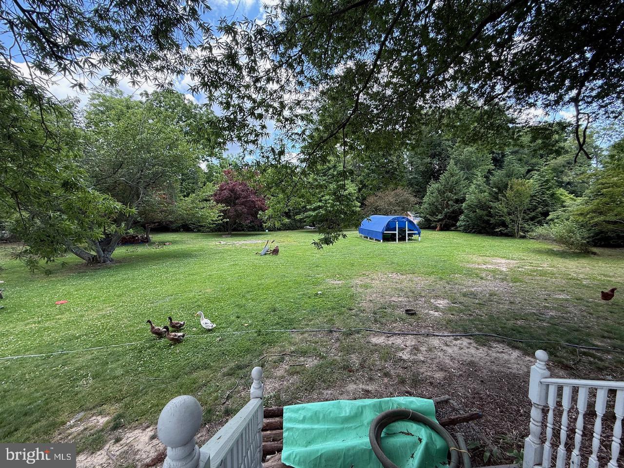 79 Pier Road Property Photo 29