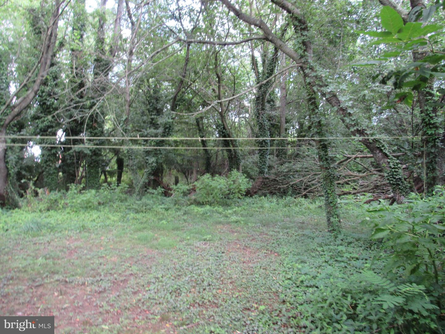 1 S Woodruff Rd Property Photo 32