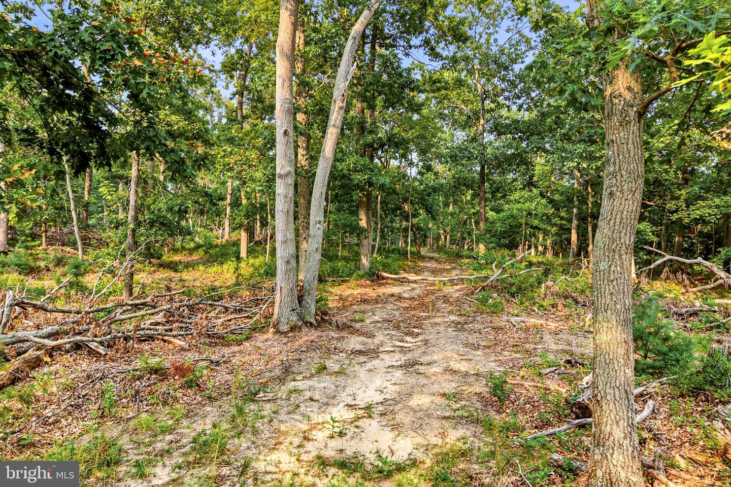968 Carmel Rd Property Photo 47