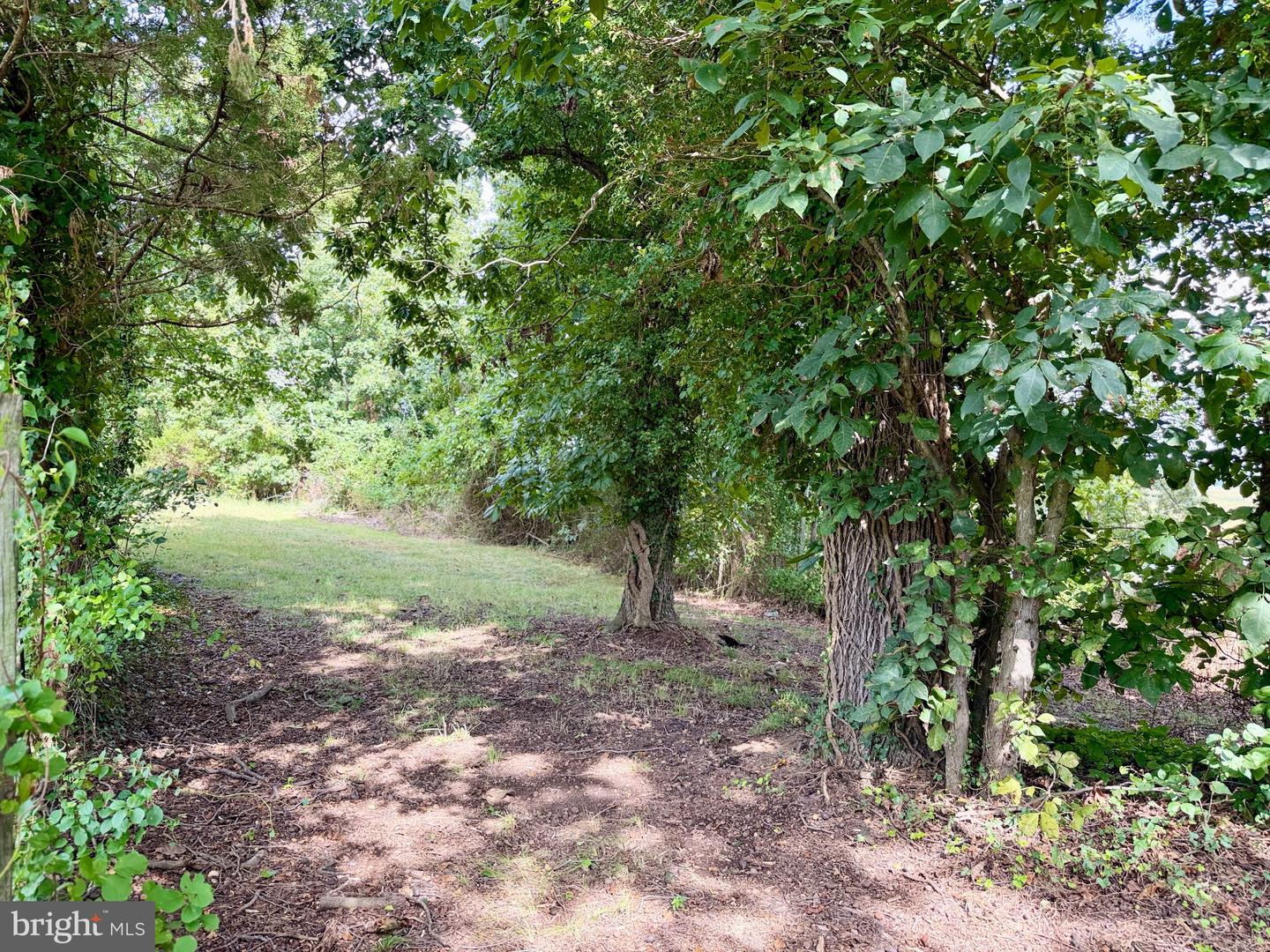 56 Sanitarium Rd Property Photo 108