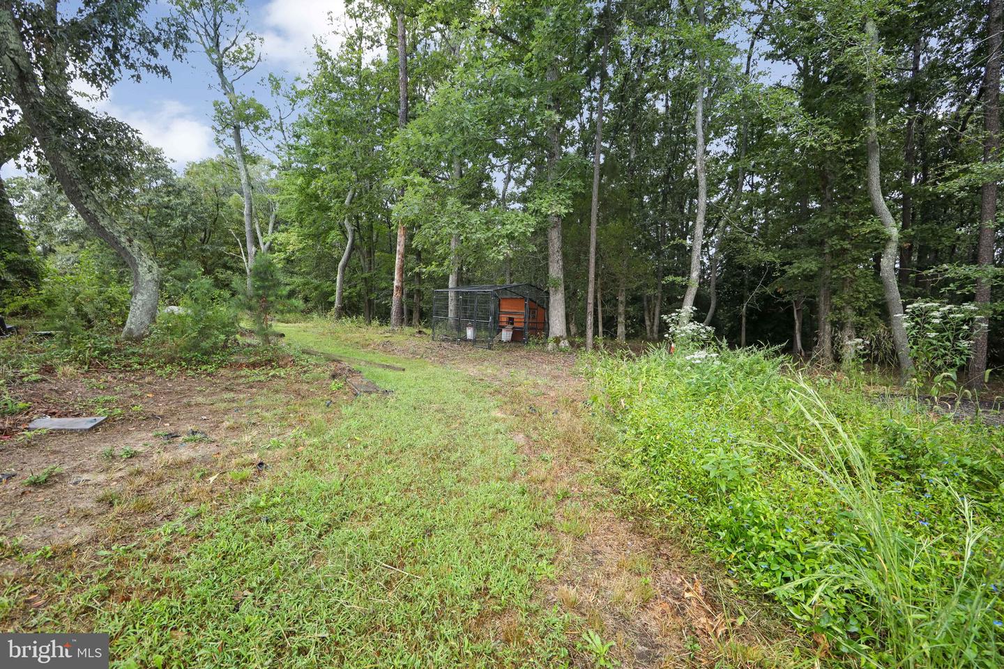 143 Weber Road Property Photo 29