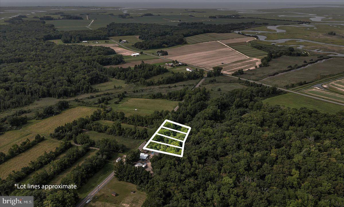 New Rd #lot 72 Property Photo 7